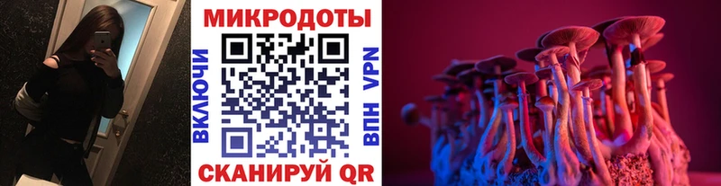 где купить наркоту Магас Галлюциногенные грибы ЛСД